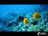 ceFQ5J54w38.jpg