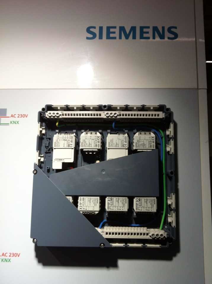 psb (4).jpg