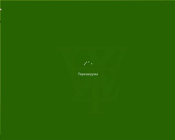2135945598.jpg